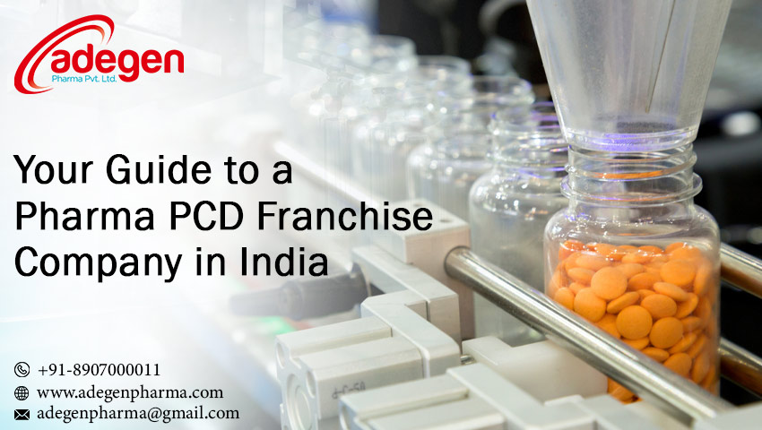 Your Guide to a Pharma PCD Franchise Company in India